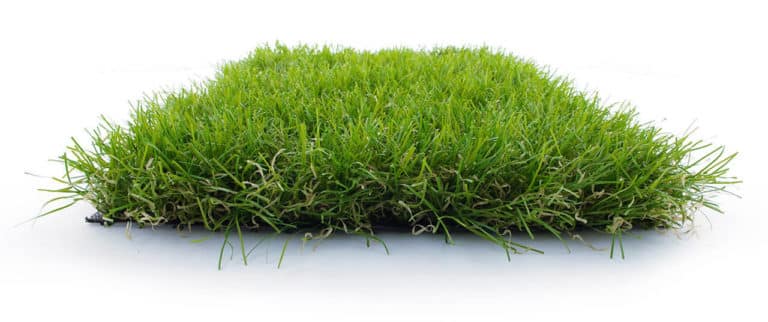 Morceau de pelouse artificielle : zoom fibres