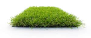 Fibre de pelouse artificielle modèle Millenium 42 mm