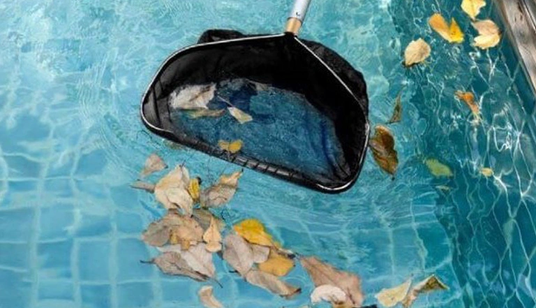 ramasser les feuilles mortes dans l'eau de sa piscine à l'épuisette