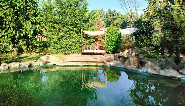 Aménagement d'une piscine écologique naturelle